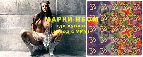 стаф Алексин