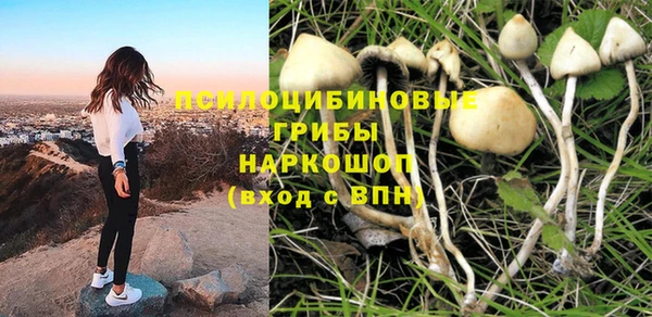 mix Алексеевка